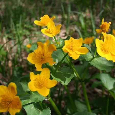 شقة Garten- & Loggia-appartement Herrenhaus