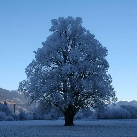 公寓 Garten- & Loggia-appartement Herrenhaus *