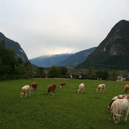 Garten- & Loggia-appartement Herrenhaus *