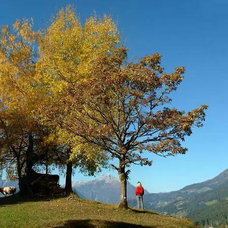 公寓 Garten- & Loggia-appartement Herrenhaus Dellach im Drautal