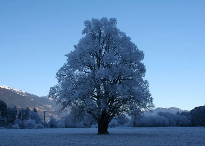 דירה Garten- & Loggia-appartement Herrenhaus *