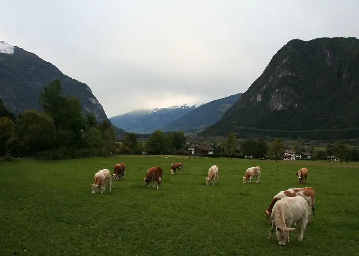 Garten- & Loggia-appartement Herrenhaus *