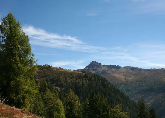 Garten- & Loggia-appartement Herrenhaus Dellach im Drautal