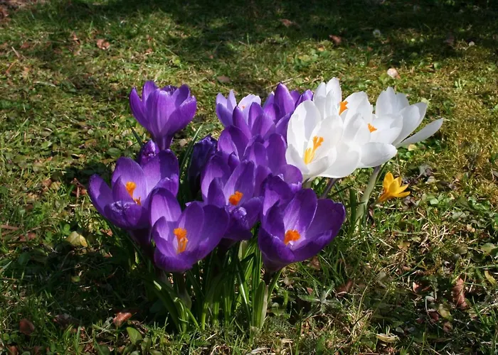 Garten- & Loggia-appartement Herrenhaus Dellach im Drautal
