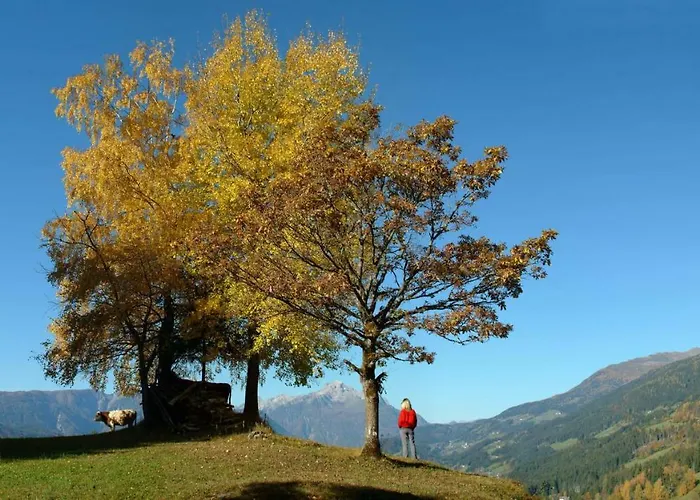 דירה Garten- & Loggia-appartement Herrenhaus Dellach im Drautal